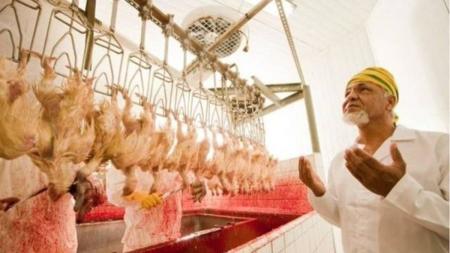 O abate halal obedece critérios islâmicos e o kosher segue normas do judaísmo praticado em Israel