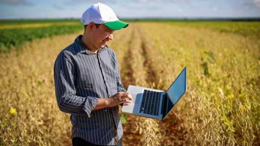 o agro atingiu o maior número de pessoas ocupadas em vagas formais (5,7 milhões) e a maior taxa de formalidade (41,5%) para o segundo trimestre, considerando toda a série histórica disponível, iniciada em 2016.