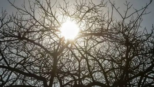 O alerta é válido até as 19h desta segunda-feira (11)