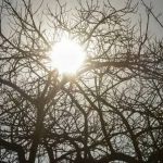 Mais de 500 cidades de Minas estão sob alerta de baixa umidade; confira lista