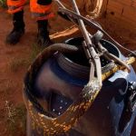 Cobra de dois metros é capturada no quintal de casa no interior de Minas