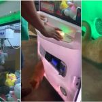 Vídeo: homem 'pesca' gato de verdade em máquina de bichos de pelúcia