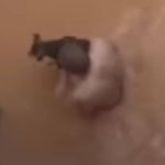 Homem resgata cachorro arrastado em enchente em João Monlevade, em MG; vídeo