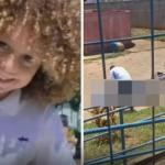 Capitão da PM sobre pai que matou filho em Minas: 'puxou a criança pelo cabelo e atirou'
