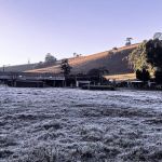 Fotos: com geada e temperatura negativa, Maria da Fé (MG) bate novo recorde e tem amanhecer mais frio do ano