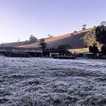 Fotos: com geada e temperatura negativa, Maria da Fé (MG) bate novo recorde e tem amanhecer mais frio do ano