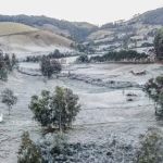 Sul de Minas tem previsão de geada nesta sexta (19); confira as cidades 