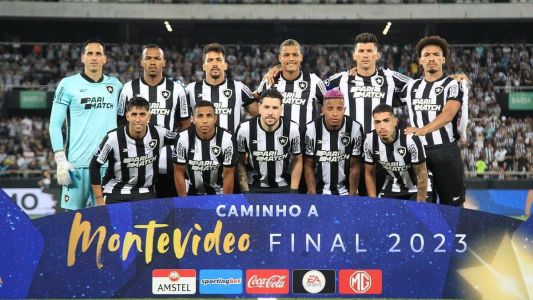 O Botafogo está vivo na disputa pela título da Copa Sul-Americana