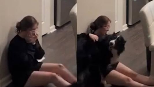 O cachorro avisa a tutora que ela está prestes a desmaiar e a avisa