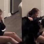 Vídeo: cão salva tutora portadora de doença rara de desmaio; entenda a condição