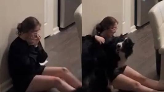 O cachorro avisa a tutora que ela está prestes a desmaiar e a avisa