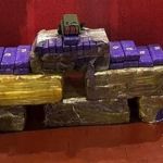 Casal é preso com mais de 100 tabletes de maconha na BR-251, em Minas