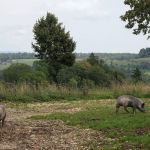 Homem acusado de matar cunhado por disputa de terra é condenado a 18 anos de prisão em Minas