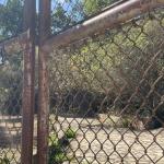 Idoso acusado de abusar de criança é morto a tiros na Grande BH