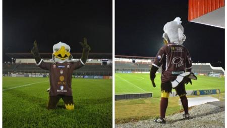 O clube de Patrocínio usou duas imagens do Rei
