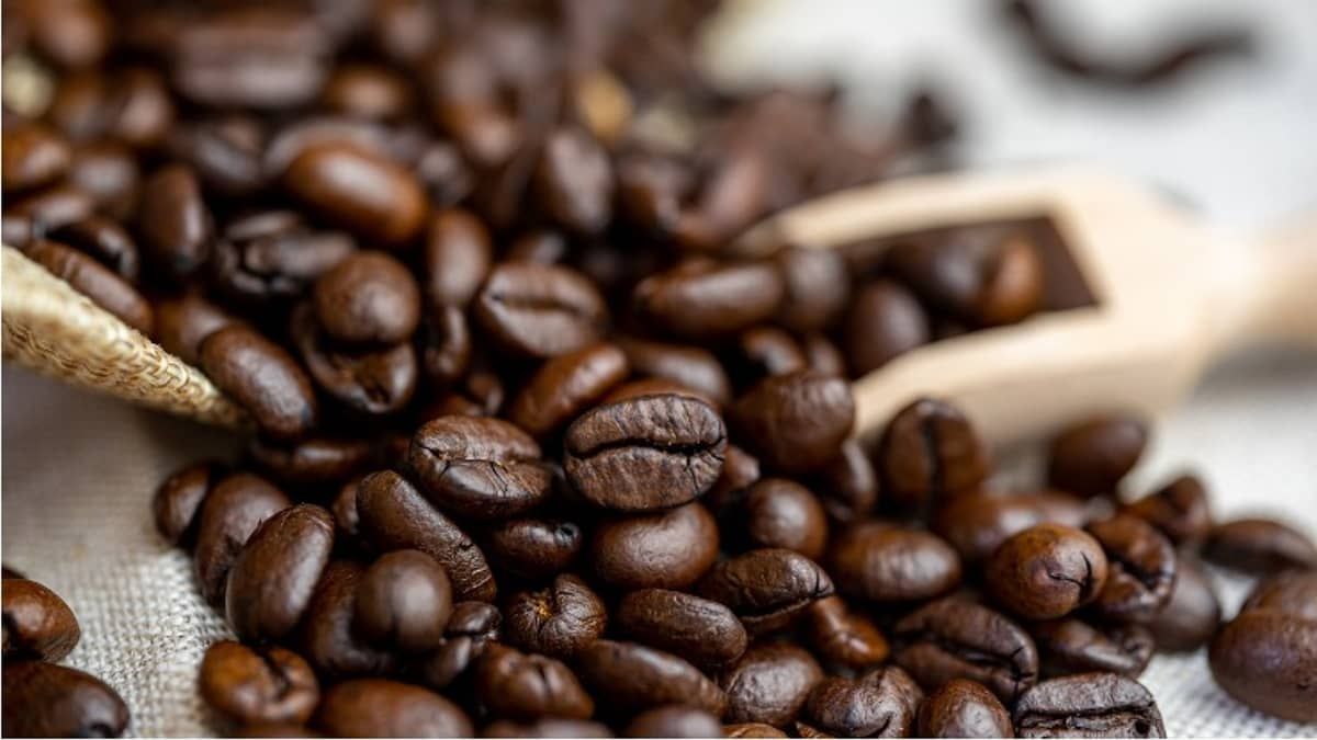 Projeto testa adaptabilidade de cultivares de café Conilon em Minas