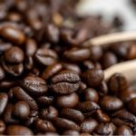 Projeto testa adaptabilidade de cultivares de café Conilon em Minas