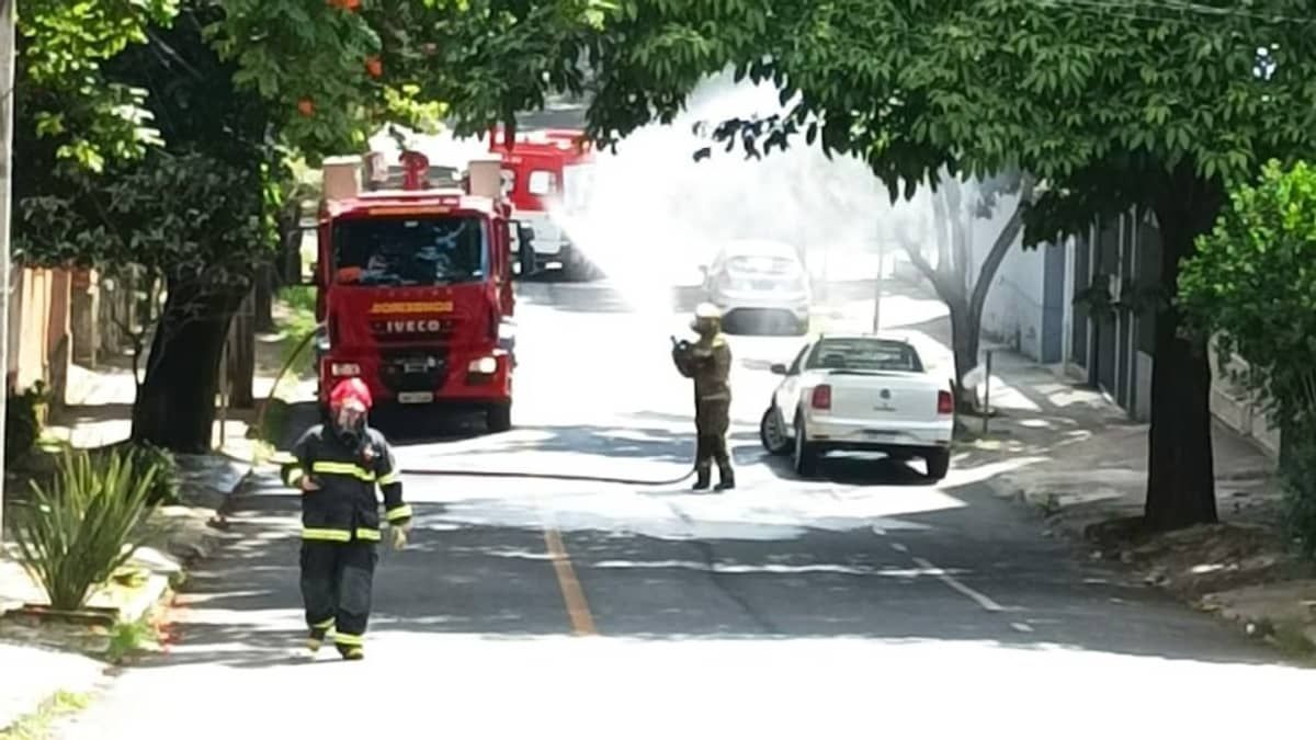 Mulher é atacada por enxame de abelhas e encaminhada para o João XXIII em estado grave