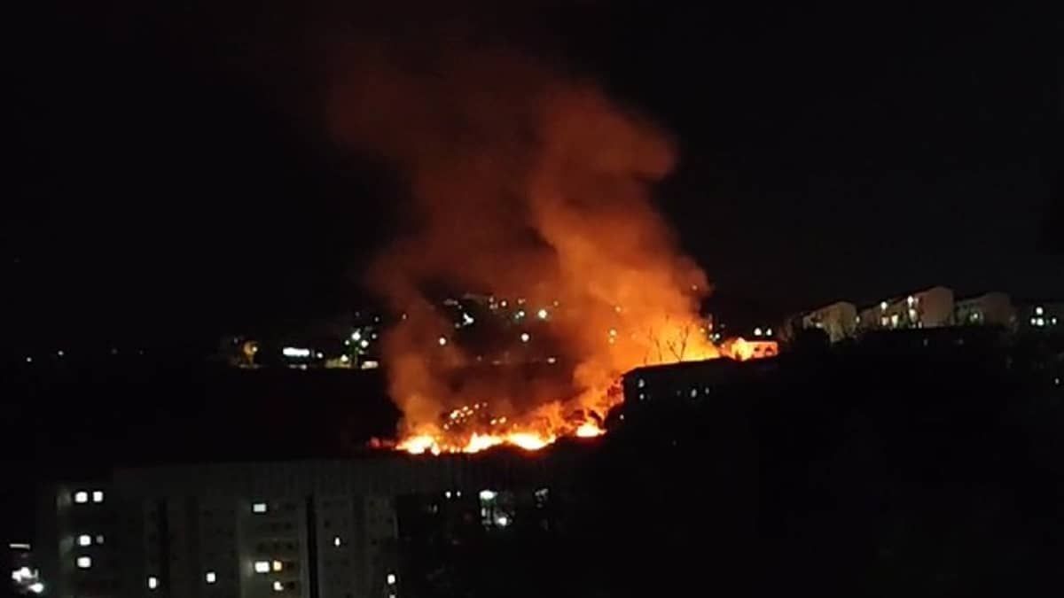 Vídeo: incêndio de grandes proporções atinge área verde no bairro Jardim Vitória, em BH