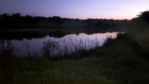 O corpo foi encaminhado para o IML