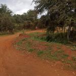 Taxista é encontrado carbonizado após aceitar corrida durante seu aniversário em Minas