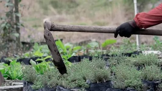 O crime aconteceu no último domingo (11)