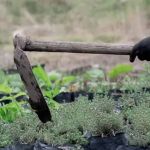 Jovem suspeito de matar com uma enxada homem que 'passou a mão' em sua mãe é preso em Barbacena