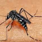 Montes Claros decreta emergência após surto de dengue, chikungunya e zika vírus