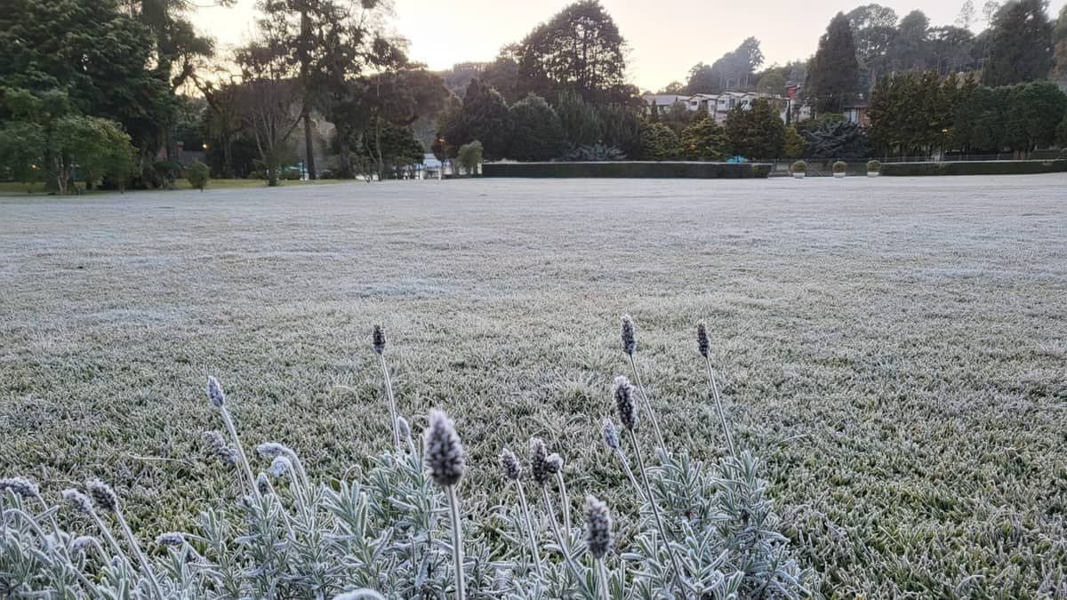 Cidades de Minas têm sexta-feira gelada com temperaturas abaixo de 10°C 