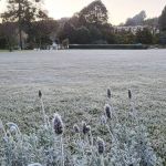 Cidades de Minas têm sexta-feira gelada com temperaturas abaixo de 10°C 