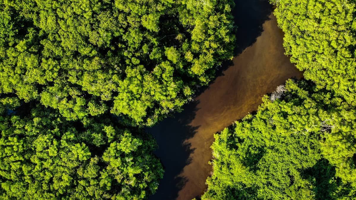 Brasil ganha 72 quilômetros quadrados de território