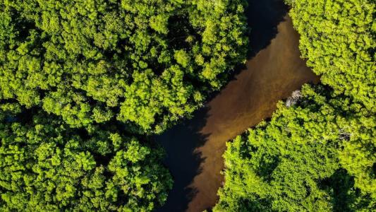 O estado com maior número de mudanças nos limites municipais foi o Rio Grande do Sul