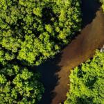 Brasil ganha 72 quilômetros quadrados de território