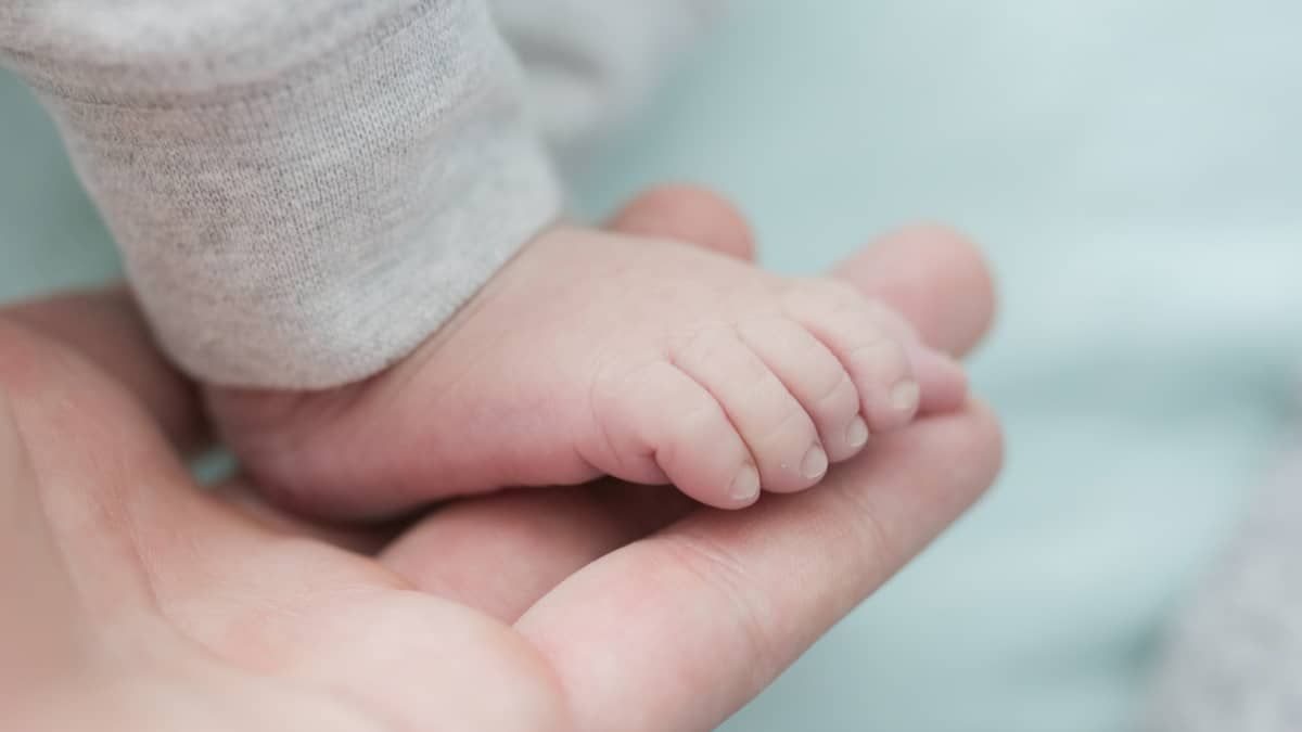 Bebês poderão ser criados em laboratório até 2028; entenda