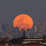Superlua poderá ser vista na Grande BH nesta terça; veja imagens e saiba onde