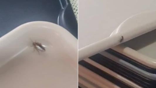 O fato foi registrado no horário de almoço
