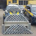 PRF apreende 222 kg de pasta base de cocaína 'disfarçada' de queijo na BR-116