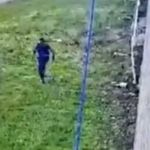 Vídeo: mafioso usa lençol como corda e foge de prisão na Itália