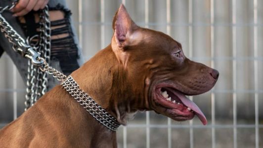 O homem ferido precisou ser encaminhado para o HPS