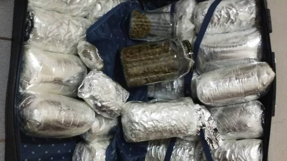 Polícia apreende 12 kg de skunk com foragido da Justiça em Minas