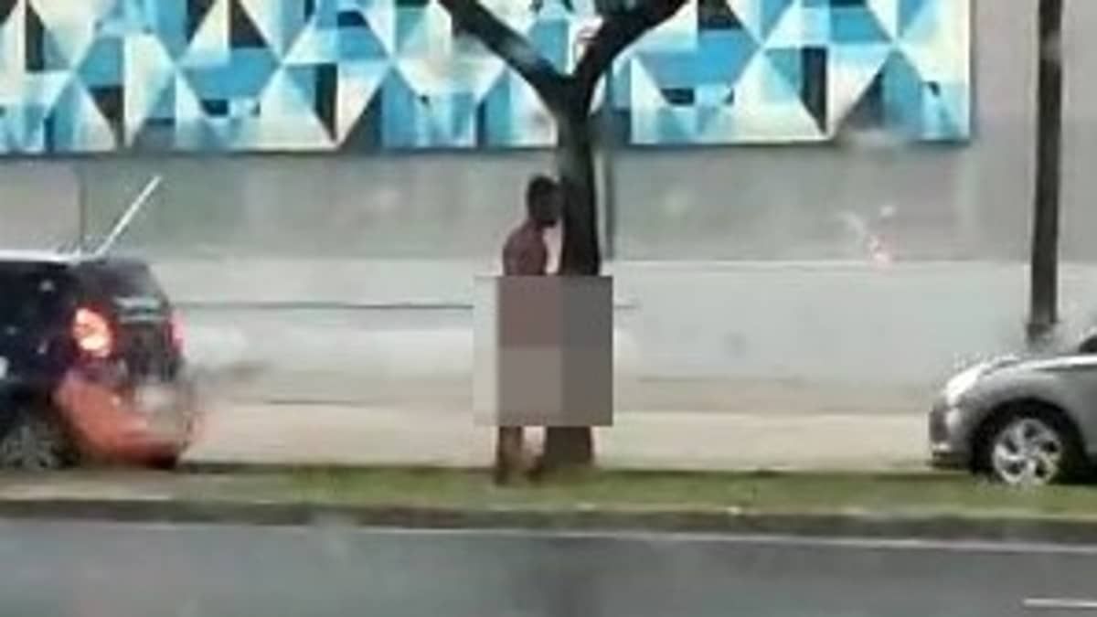 Vídeo: homem pelado faz sexo com árvores em plena Barão e é flagrado por motoristas