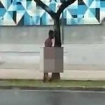 Vídeo: homem pelado faz sexo com árvores em plena Barão e é flagrado por motoristas