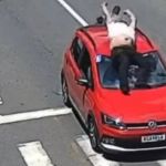 Vídeo: motoqueiro bate e é lançado por cima de carro que freou para cachorro atravessar a rua, em Minas