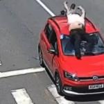 Vídeo: motoqueiro bate e é lançado por cima de carro que freou para cachorro atravessar a rua, em Minas