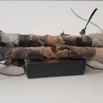 Suspeito de roubar agência bancária no interior de Minas é preso