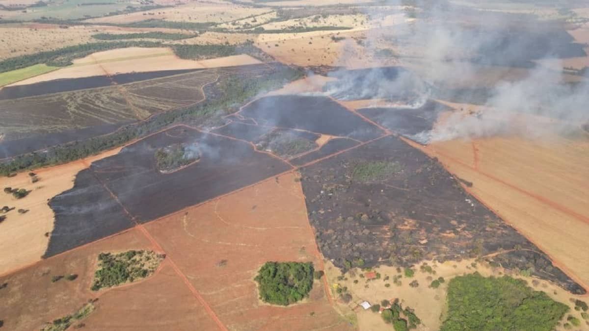Bombeiros combatem incêndio em plantação de cana-de-açúcar na Serra da Aroeira