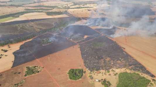 O incêndio afetou as áreas destinadas para plantio e colheita de cana