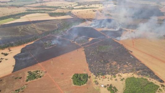 O incêndio afetou as áreas destinadas para plantio e colheita de cana