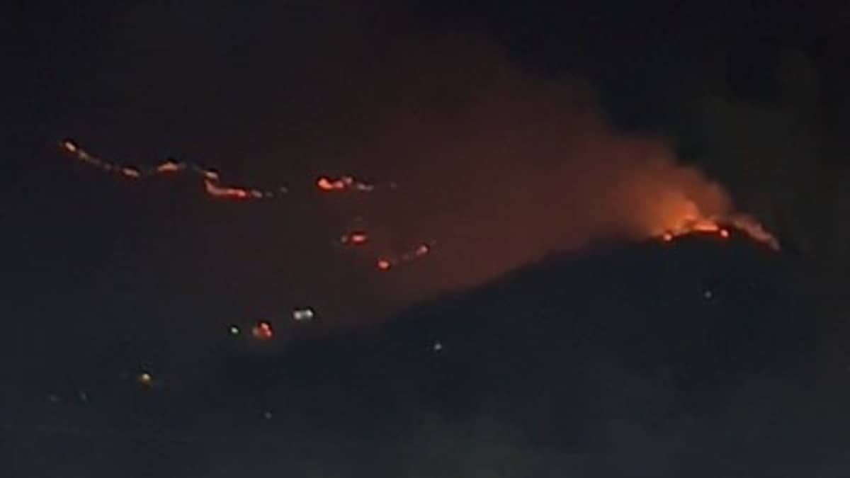 Bombeiros combatem incêndio em vegetação de Nova Lima, na Grande BH