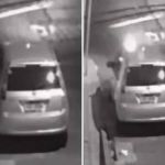 Vídeo: jovem incendeia carro de manicure em BH e foge